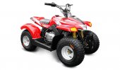 2013 Loncin LX50ATV-2 Kitten photo